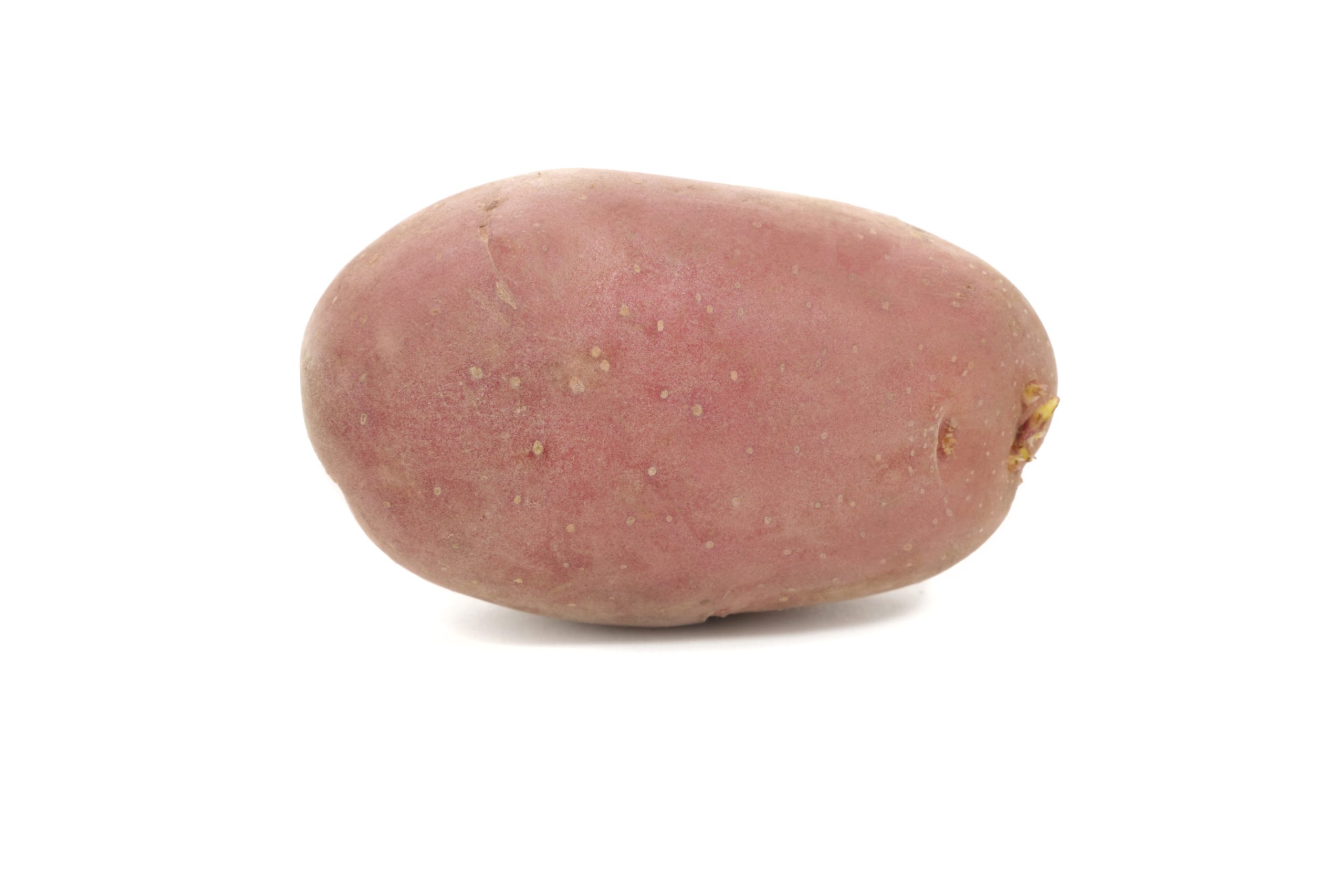 Балтик Роуз картофель характеристика