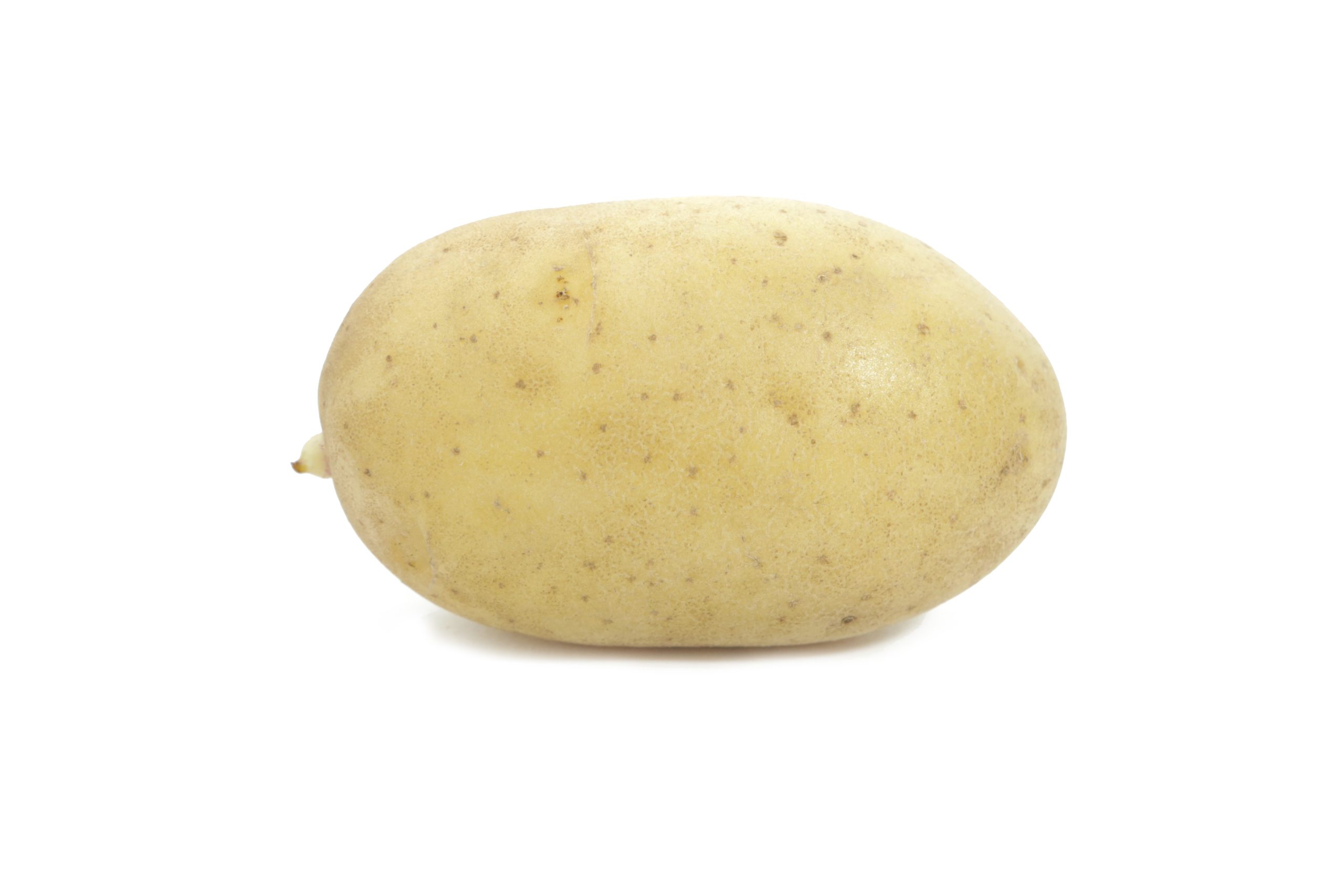 Семенной картофель Вега